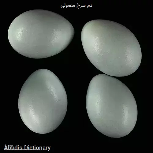 دم سرخ معمولی